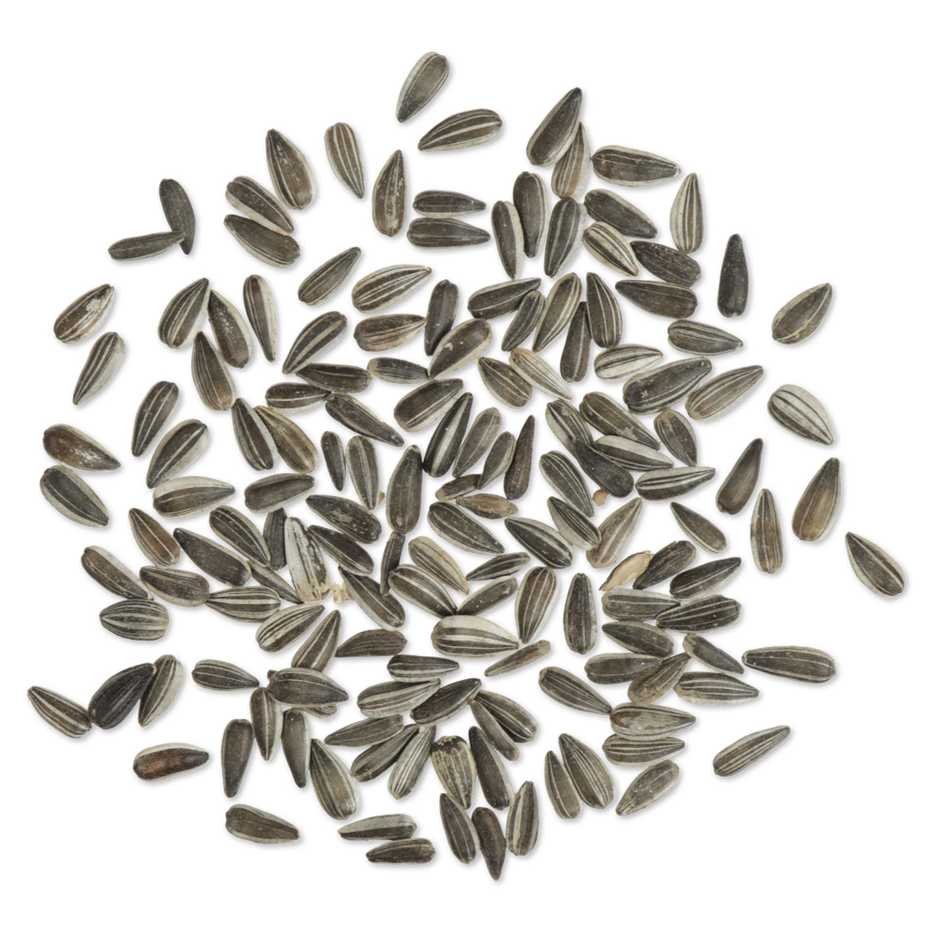 Sonnenblumenkerne gestreift 2,5kg | Vogelfutter | CJ Wildlife